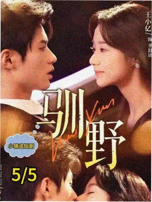 都市情缘 现代剧